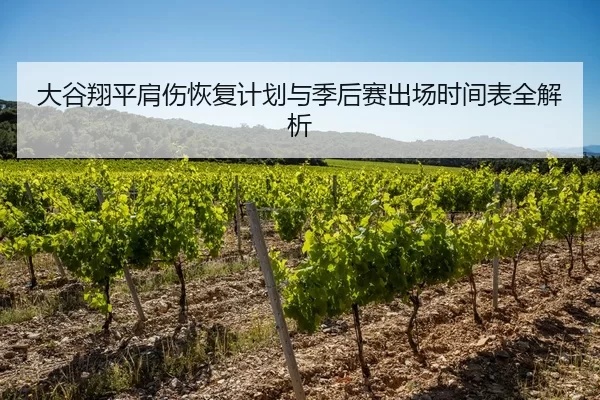 大谷翔平肩伤恢复计划与季后赛出场时间表全解析