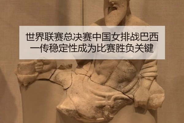 shi-jie-lian-sai-zong-jue-sai-zhong-guo-nv-pai-zhan-ba-xi-yi-chuan-wen-ding-xing-cheng-wei-bi-sai-sheng-fu-guan-jian-2-669.jpg